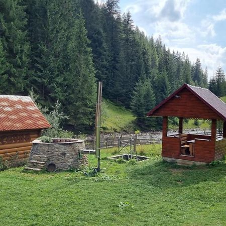 ホテル Крайня Хата Synevyrsʼka Polyana エクステリア 写真